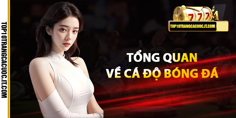 Tổng quan về cá độ bóng đá